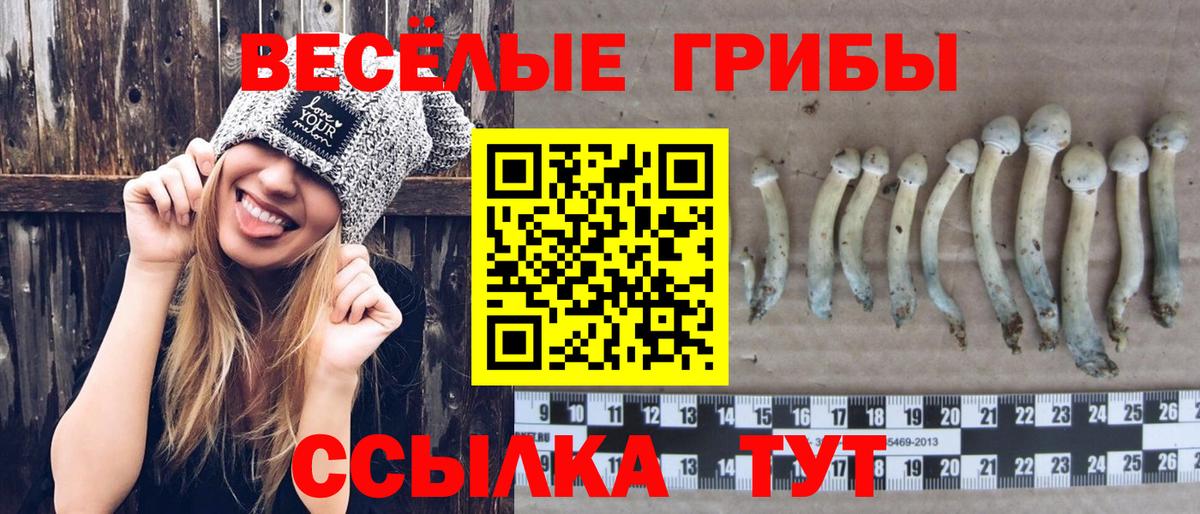 Галлюциногенные грибы MAGIC MUSHROOMS Нальчик